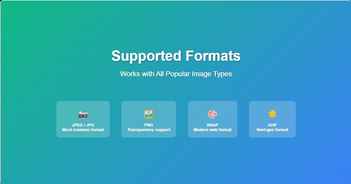 Image Format Optimization