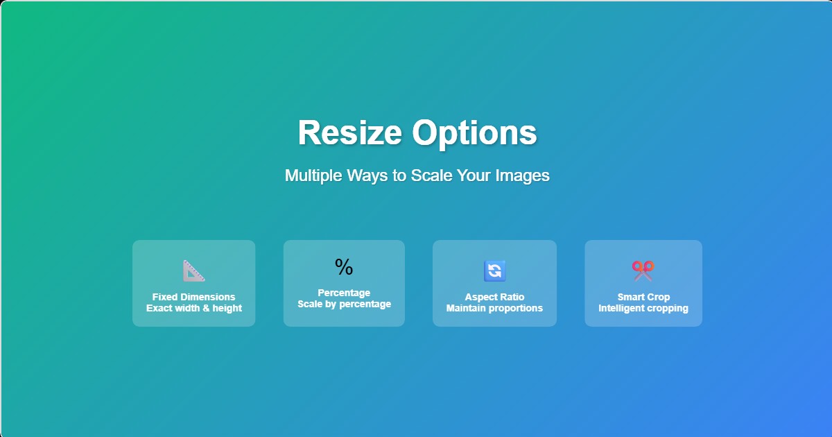 Batch Resize Options